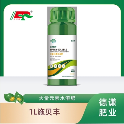 1L Shi Beifeng